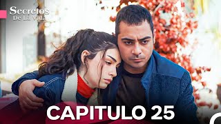 Secretos De La Vida Capítulo 25 Doblado En Español [upl. by Nirrok]