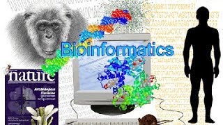 Bioinformatics part 1 What is Bioinformatics [upl. by Mussman]