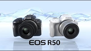 Introducing the Canon EOS R50 [upl. by Spain]