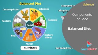 Components of Food Class 6 Science  Balanced Diet [upl. by Latsyek874]