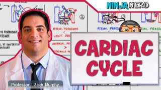 Cardiovascular  Cardiac Cycle [upl. by Jenne]