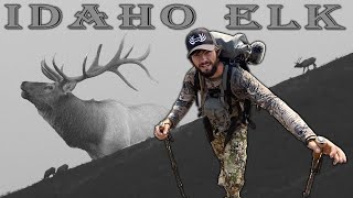 FIRST TIME Public Land Idaho Archery Elk Hunt  Our Experience [upl. by Ardnuaet]