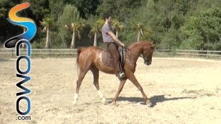 Cómo frenar y hacer correr un caballo  Curso hípica [upl. by Claudy]