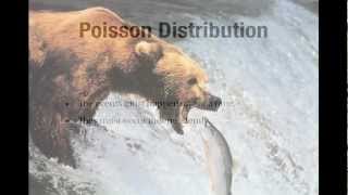 Poisson Distribution Introduction [upl. by Scharf725]