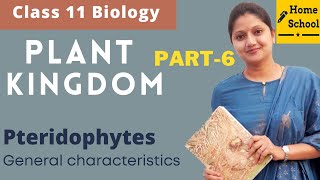 Plant Kingdom Class 11 Biology  Pteridophytes Part6 [upl. by Killarney]