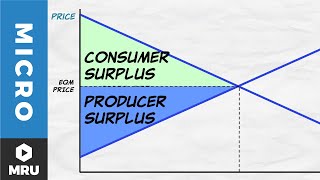 Exploring Equilibrium [upl. by Heber]